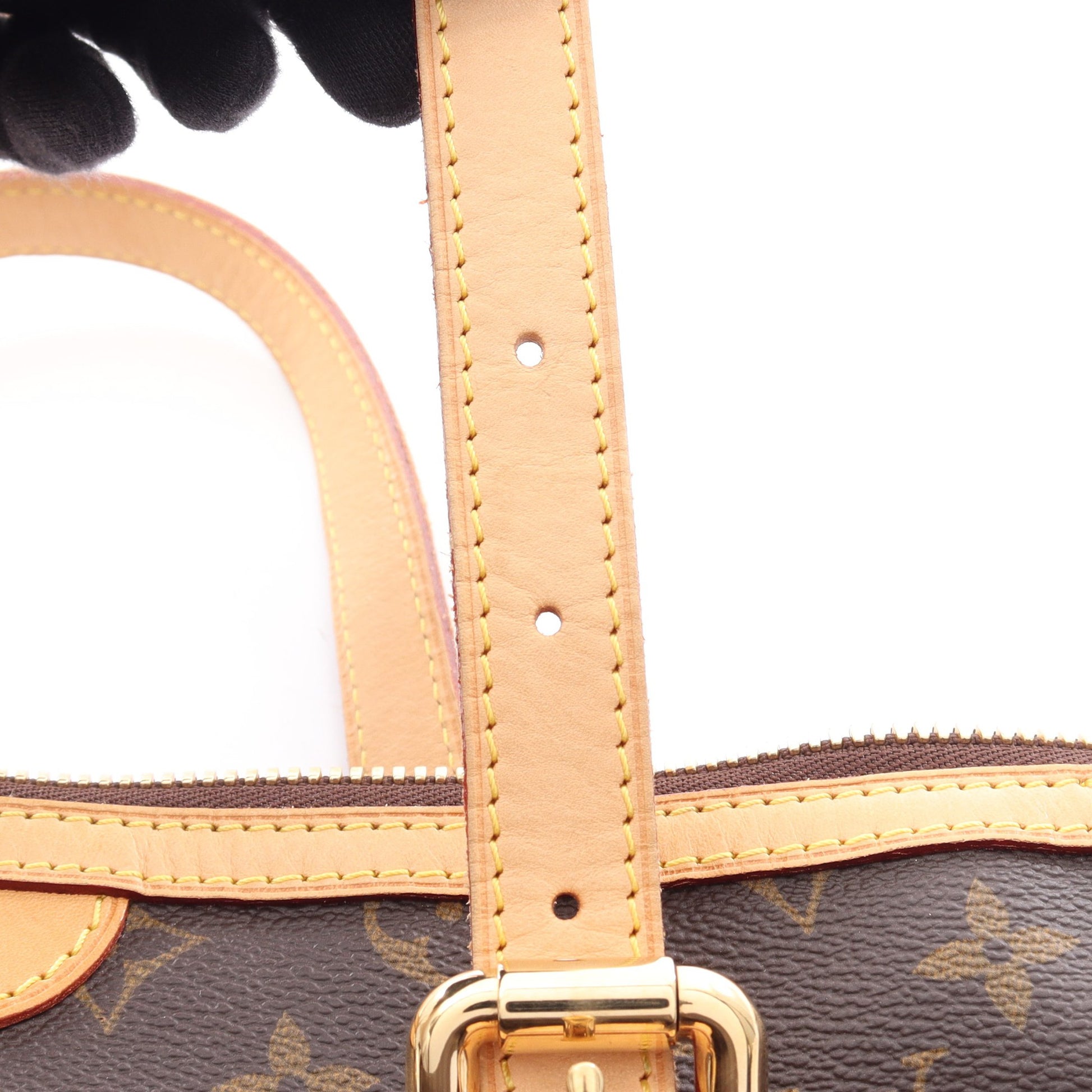 パレルモGM モノグラム 2WAY ショルダーバッグ PVC レザー ブラウン ルイヴィトン バッグ LOUIS VUITTON
