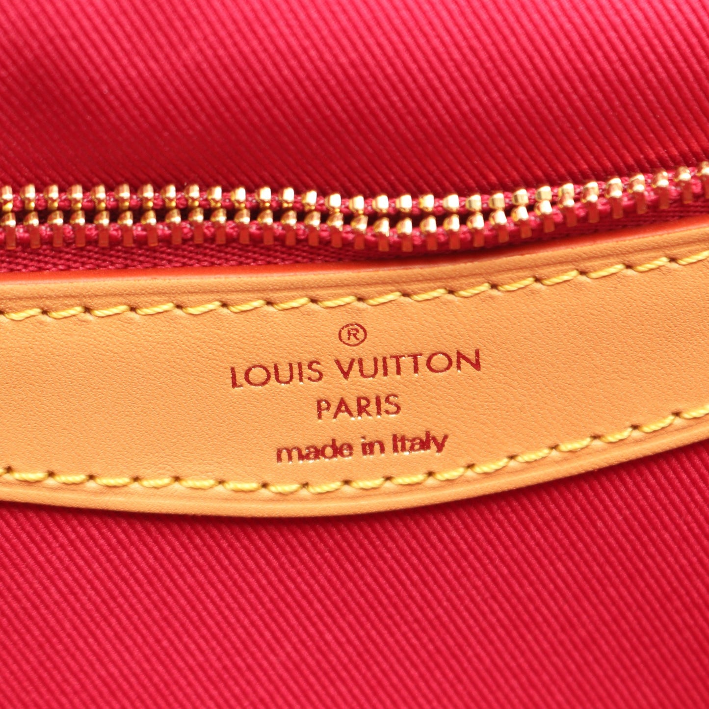 ディアヌ NM PM モノグラム フューシャ 2WAY ワンショルダーバッグ PVC レザー ブラウン ルイヴィトン バッグ LOUIS VUITTON