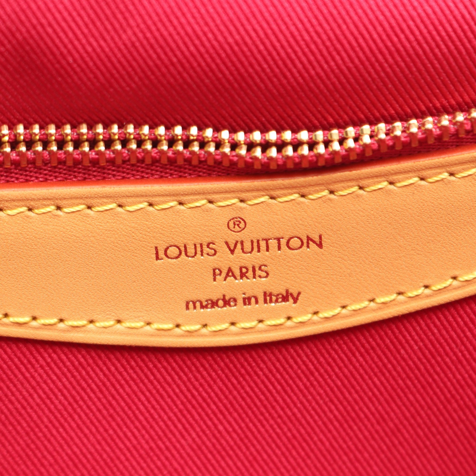 ディアヌ NM PM モノグラム フューシャ 2WAY ワンショルダーバッグ PVC レザー ブラウン ルイヴィトン バッグ LOUIS VUITTON