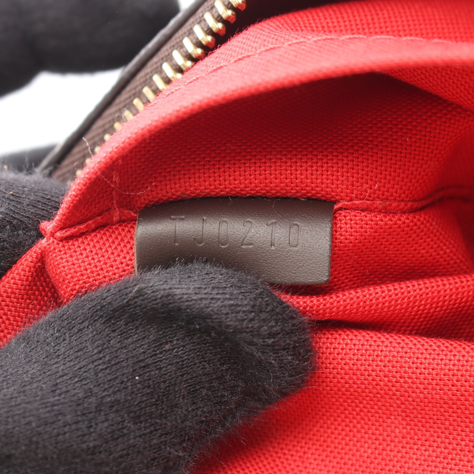 シエナPM ダミエエベヌ 2WAY ハンドバッグ PVC レザー ブラウン ルイヴィトン バッグ LOUIS VUITTON