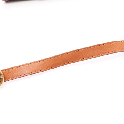 トリオンフ ショルダーバッグ PVC レザー ベージュ ブラウン セリーヌ バッグ CELINE