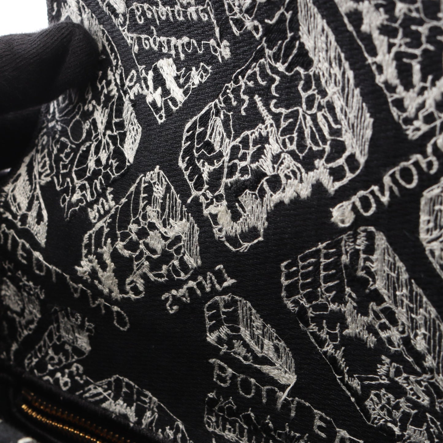 LADY D-LITE ミディアム Plan de Paris 2WAY ハンドバッグ キャンバス ブラック ホワイト クリスチャンディオール バッグ Christian Dior