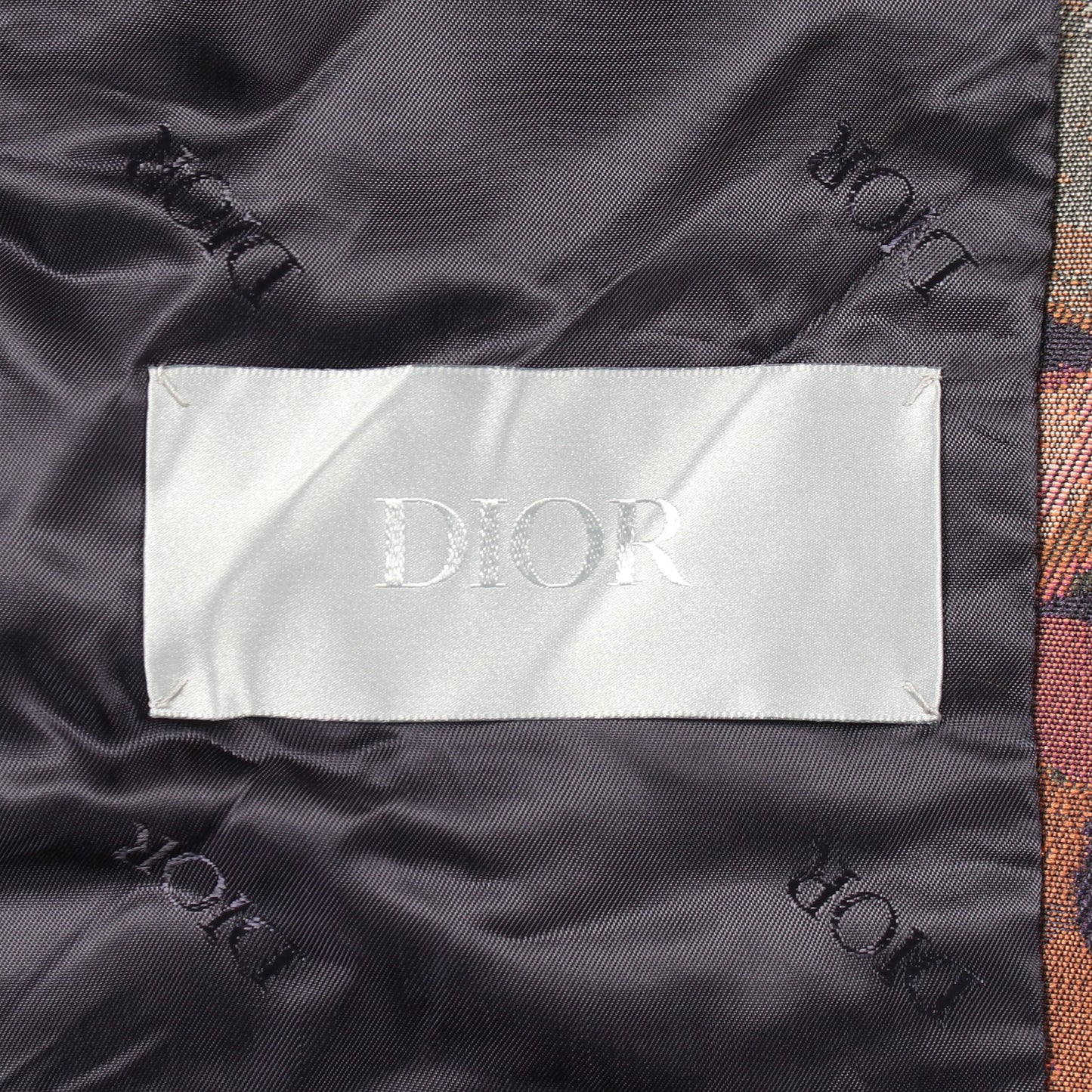 DIOR × PETER DOIG カモフラージュ ブルゾン ブラウン マルチカラー ディオール