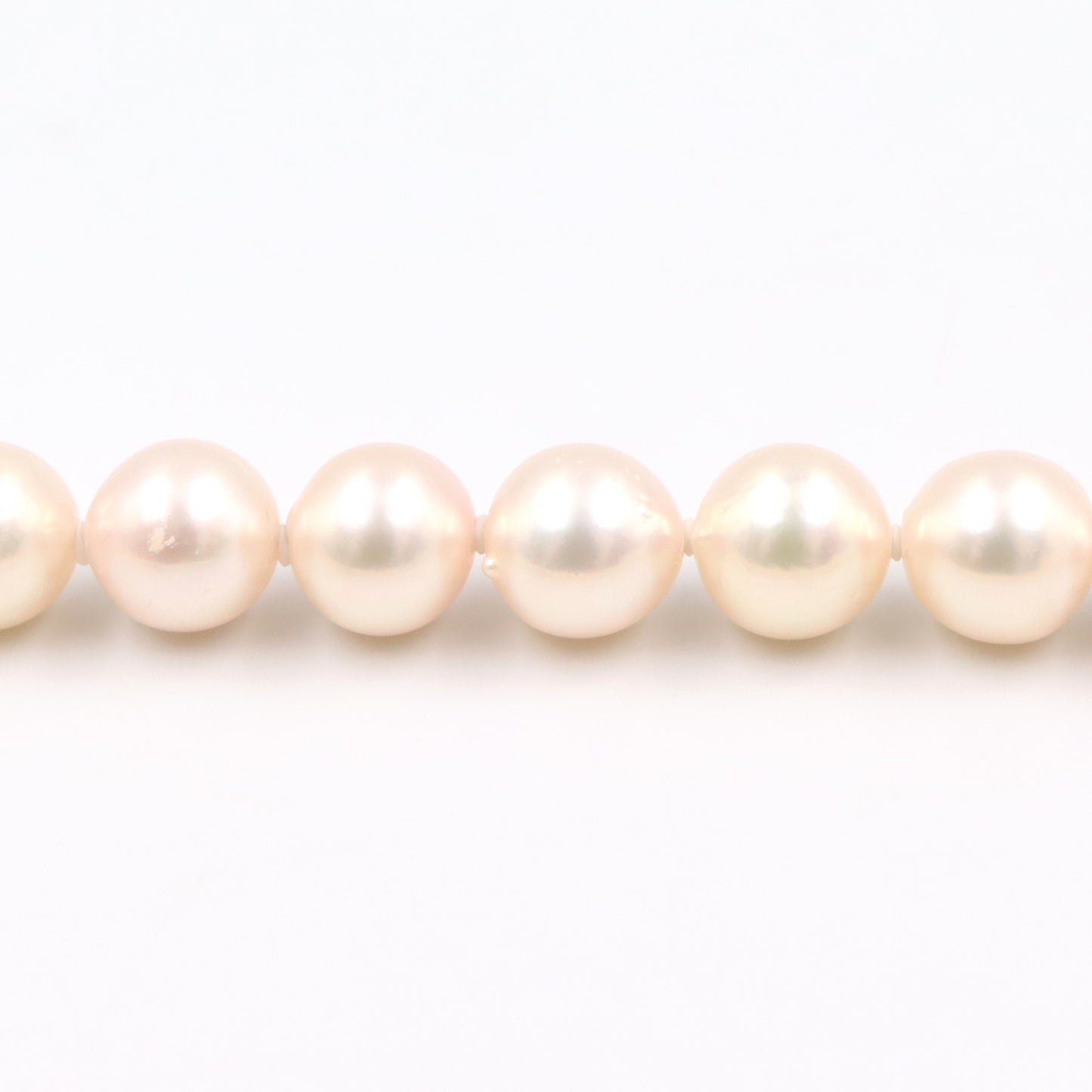パール ネックレス ネックレス SV925 パール シルバー ホワイト ノーブランドジュエリー アクセサリー NO BRAND JEWELRY