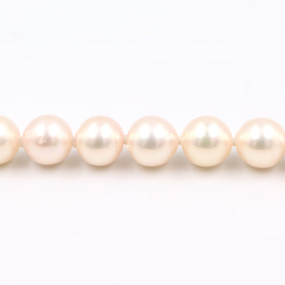 パール ネックレス ネックレス SV925 パール シルバー ホワイト ノーブランドジュエリー アクセサリー NO BRAND JEWELRY