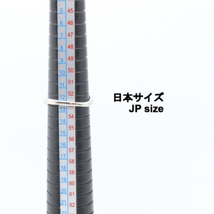 ダイヤモンド リング リング 指輪 PT900 ダイヤモンド プラチナ クリア ノーブランドジュエリー