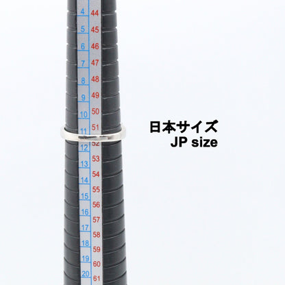 ルビー ダイヤモンド リング リング 指輪 PT900 ルビー ダイヤモンド プラチナ レッド クリア ノーブランドジュエリー