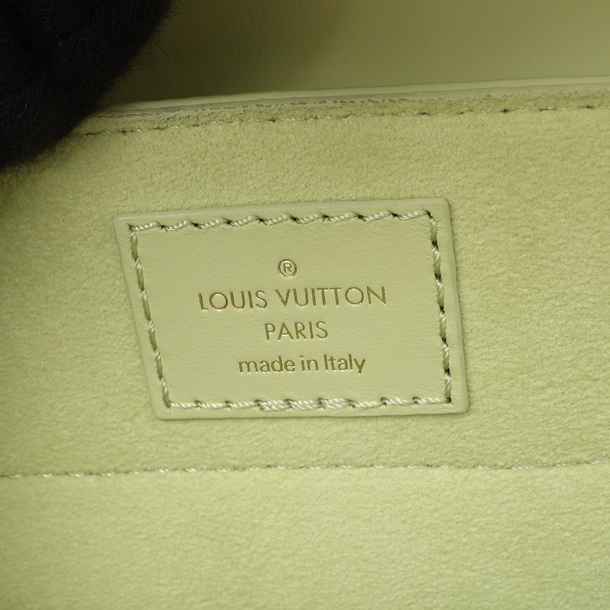 ハイドアンドシーク エピ ヴェールノト 2WAY ハンドバッグ レザー ライトグリーン ルイヴィトン バッグ LOUIS VUITTON