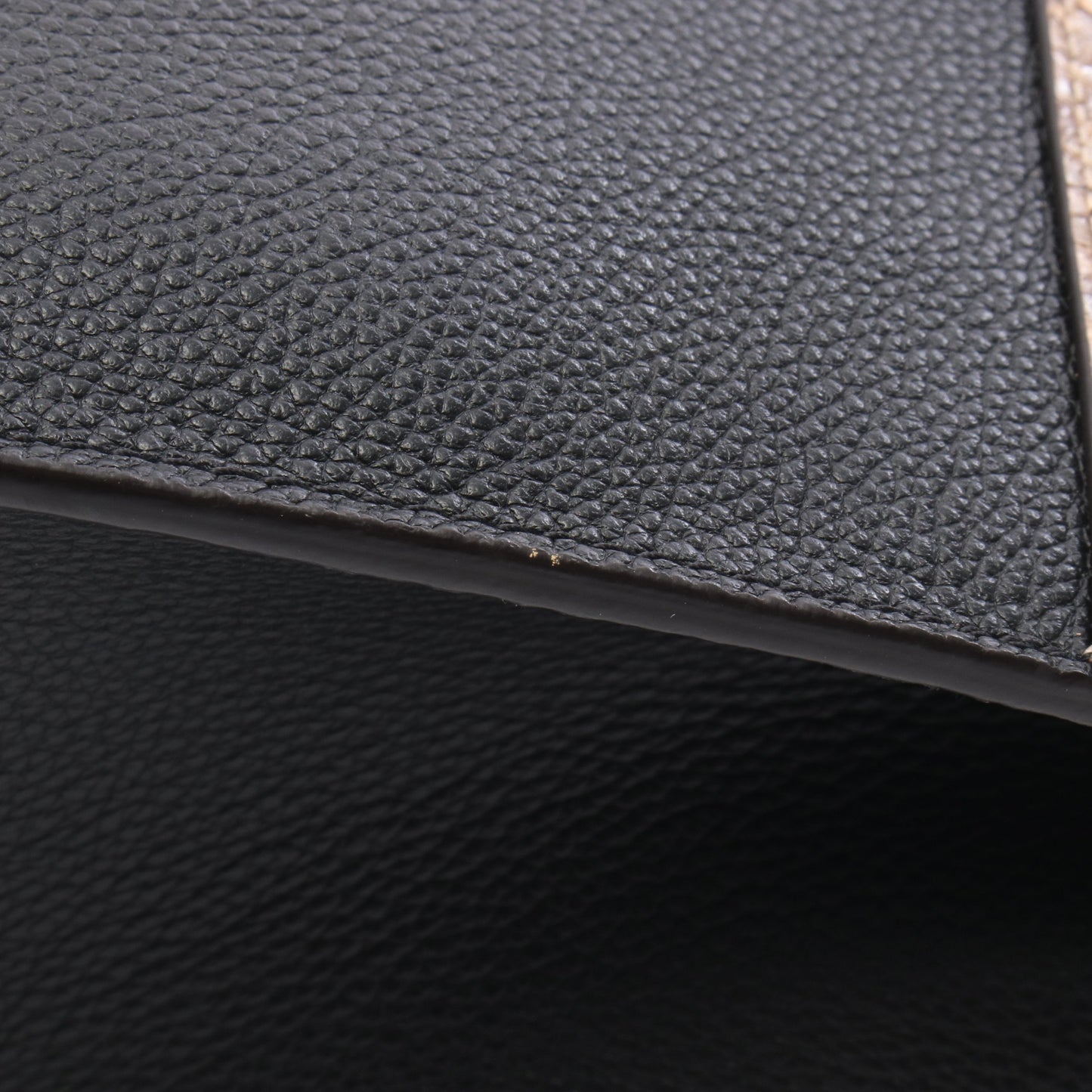 シティ スティーマーMINI ノワール 2WAY ハンドバッグ レザー パイソン ブラック ベージュ ダークブラウン ルイヴィトン バッグ LOUIS VUITTON