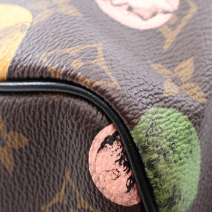 LOUIS VUITTON × FORNASETTI スピーディ バンドリエール25 モノグラムカメオ 2WAY ハンドバッグ PVC レザー ブラウン マルチカラー ルイヴィトン バッグ LOUIS VUITTON
