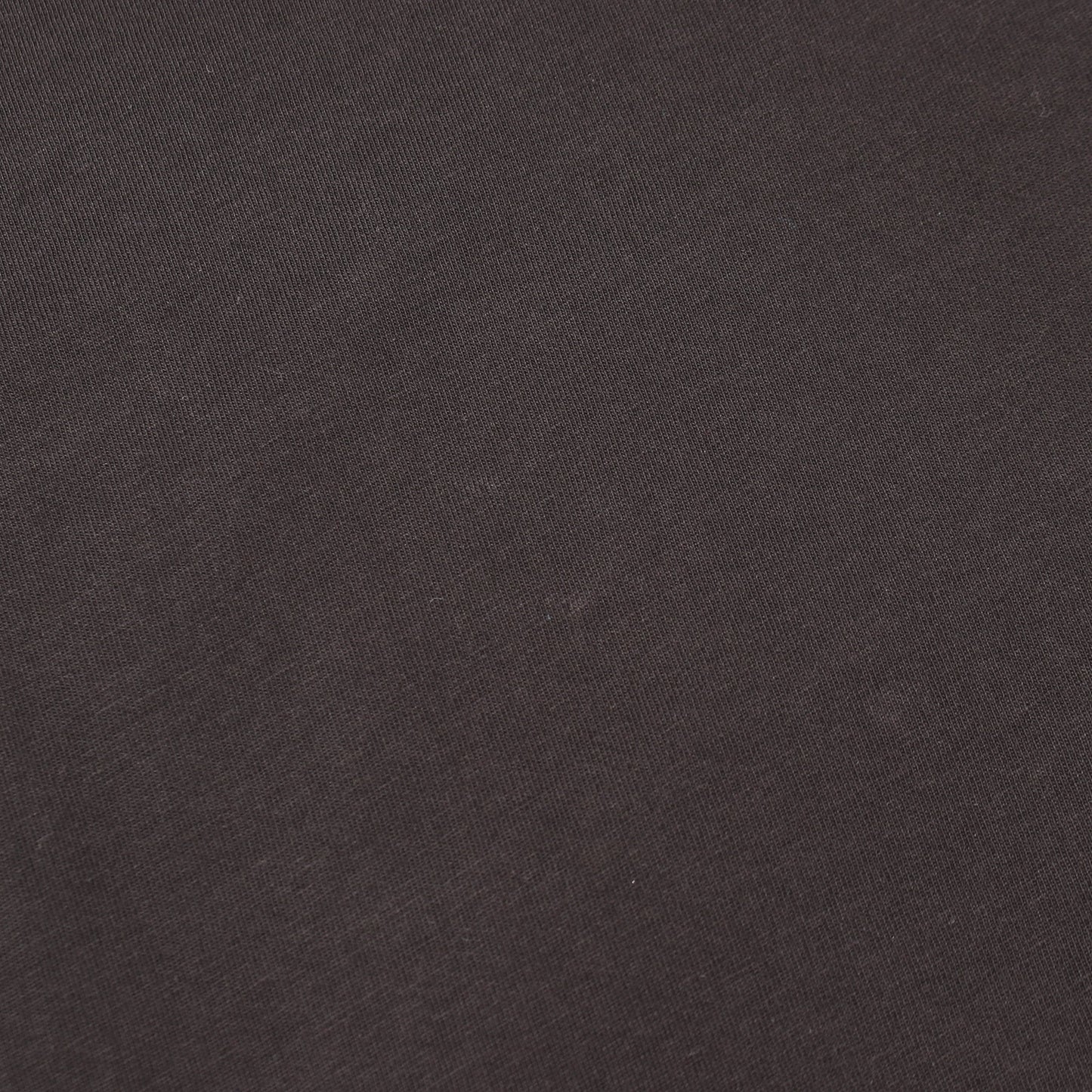 パームツリー バックプリント 半袖Tシャツ コットン ブラック モンクレール