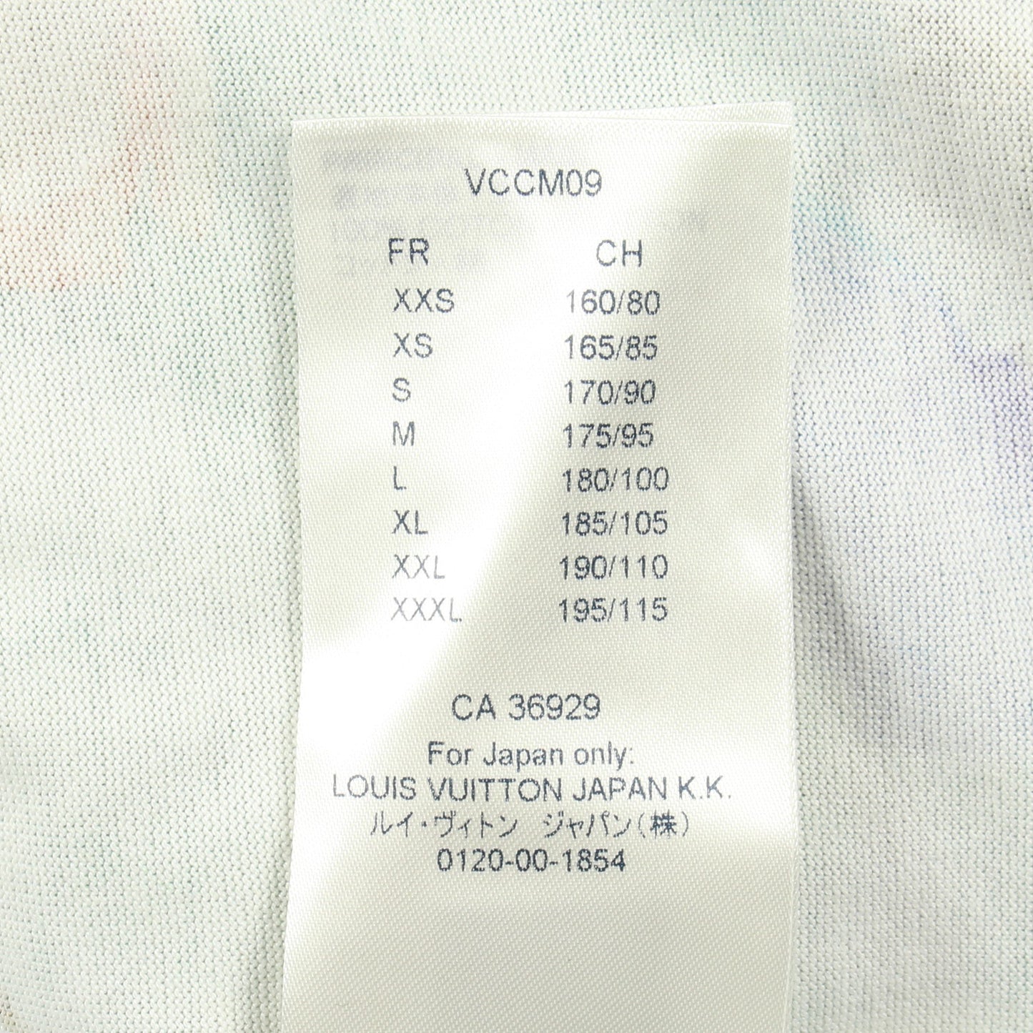 フラワーエンブロイダリー 半袖Tシャツ コットン ライトブルー マルチカラー ルイヴィトン トップス LOUIS VUITTON