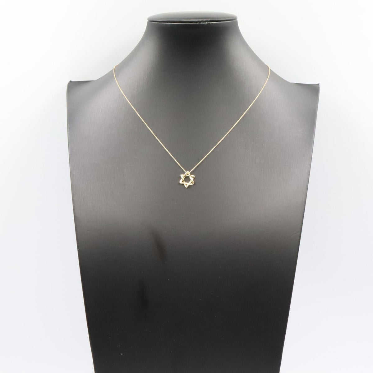 ダビデ ネックレス ネックレス K18YG イエローゴールド ティファニー アクセサリー TIFFANY & Co.