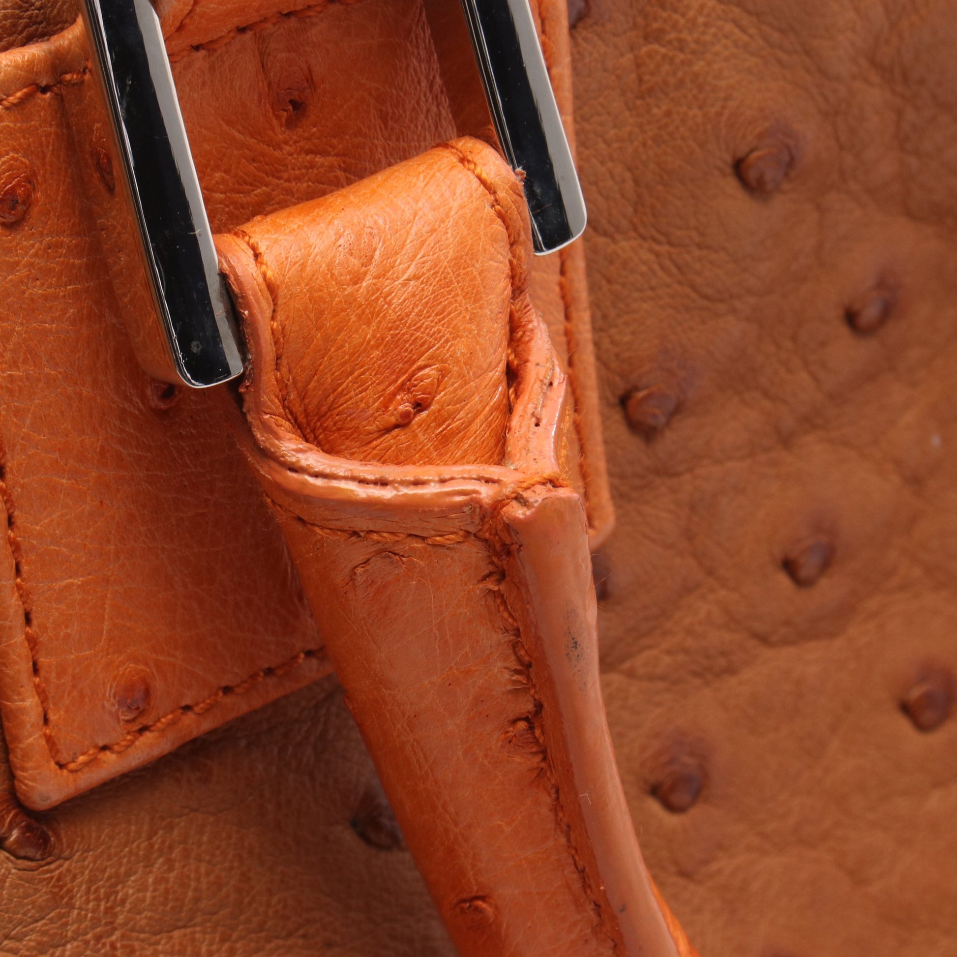 アマソナ28 ハンドバッグ オーストリッチ ブラウン オレンジ ロエベ バッグ LOEWE