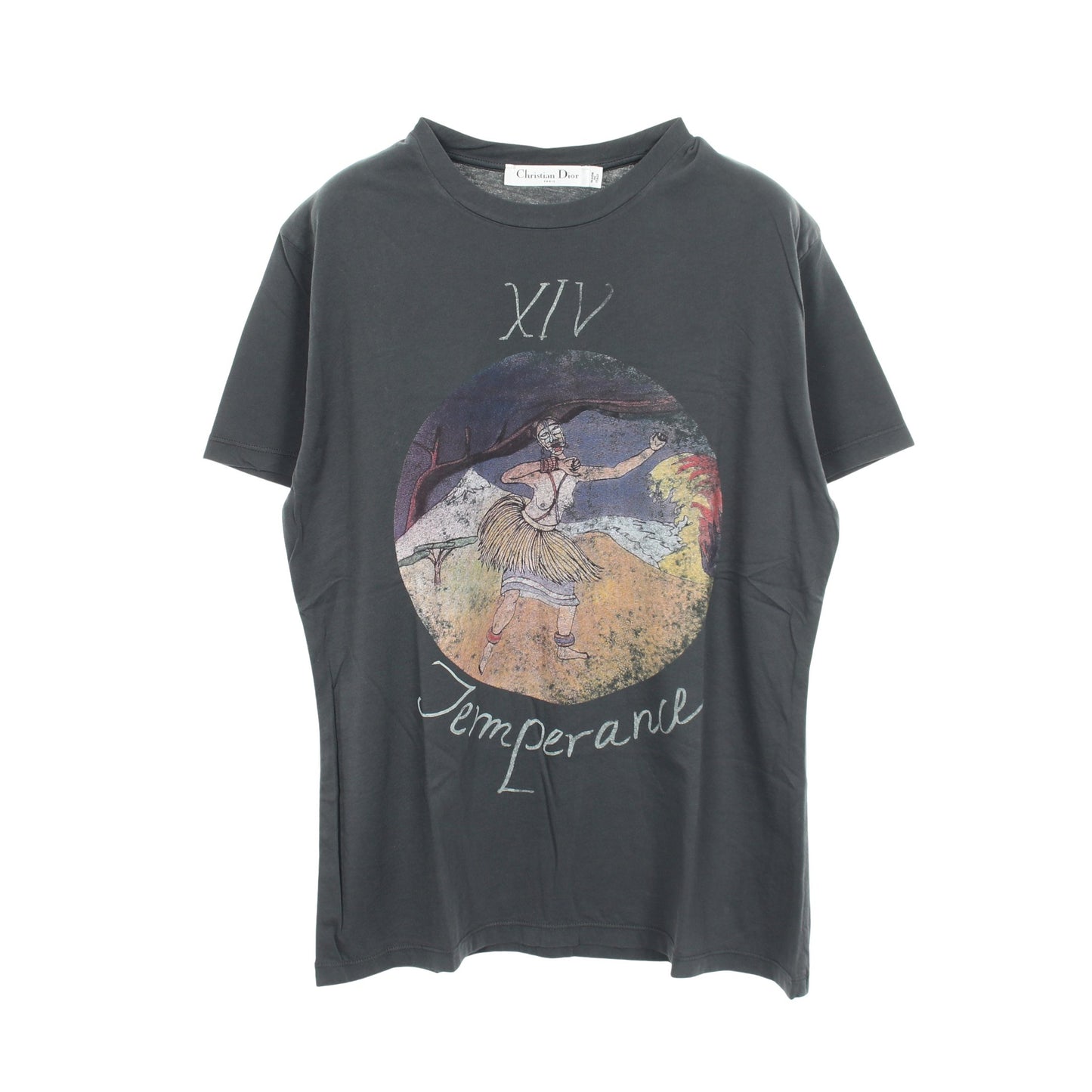 プリント クルーネック 半袖Tシャツ コットン グレー クリスチャンディオール