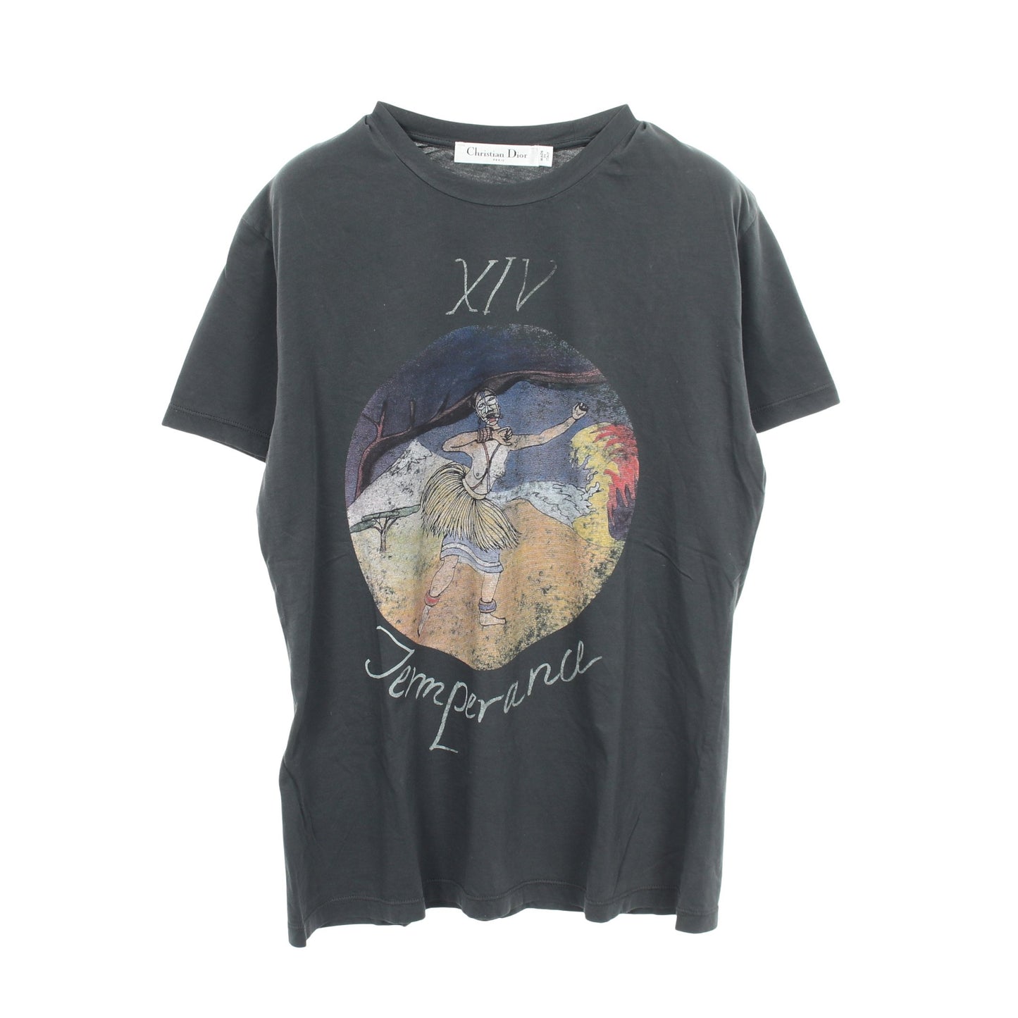 プリント クルーネック 半袖Tシャツ コットン グレー クリスチャンディオール