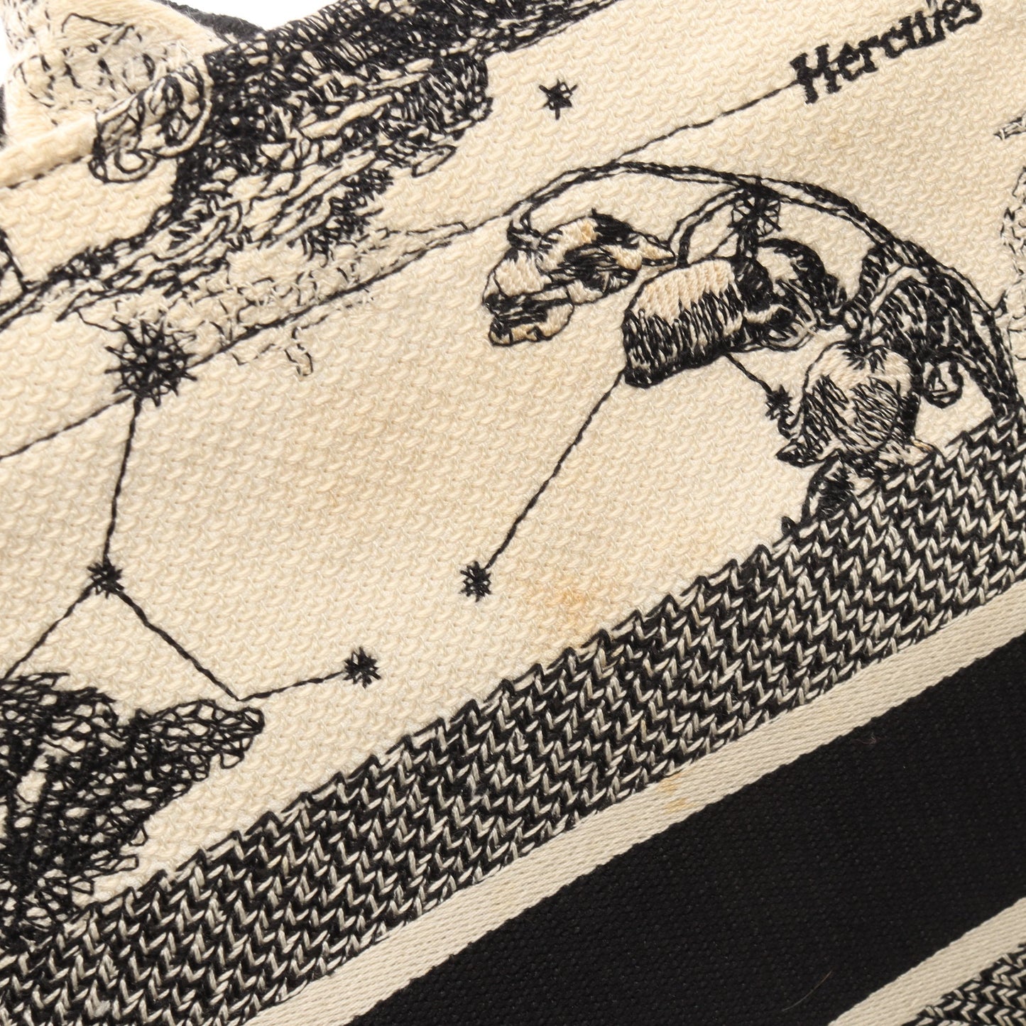 BOOK TOTE ブックトート ミディアム トワル ドゥ ジュイ ハンドバッグ トートバッグ キャンバス アイボリー ブラック クリスチャンディオール