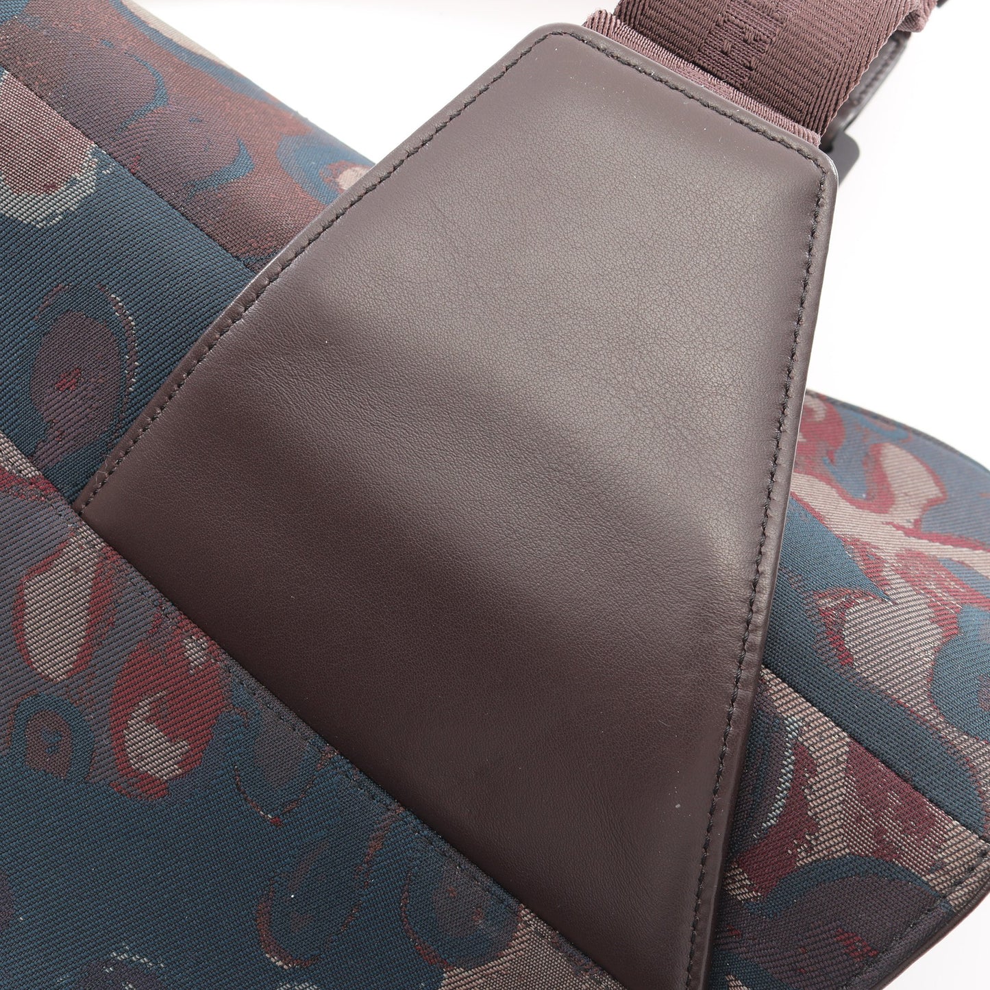 DIOR × PETER DOIG サドルバッグ ボディバッグ キャンバス レザー ダークブラウン マルチカラー ディオール