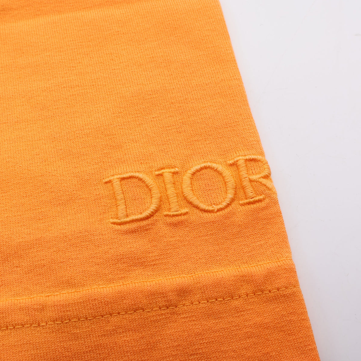 Christian Dior × PETER DOIG ライオン刺繍 ウォッシュド加工 半袖Tシャツ コットン オレンジ クリスチャンディオール