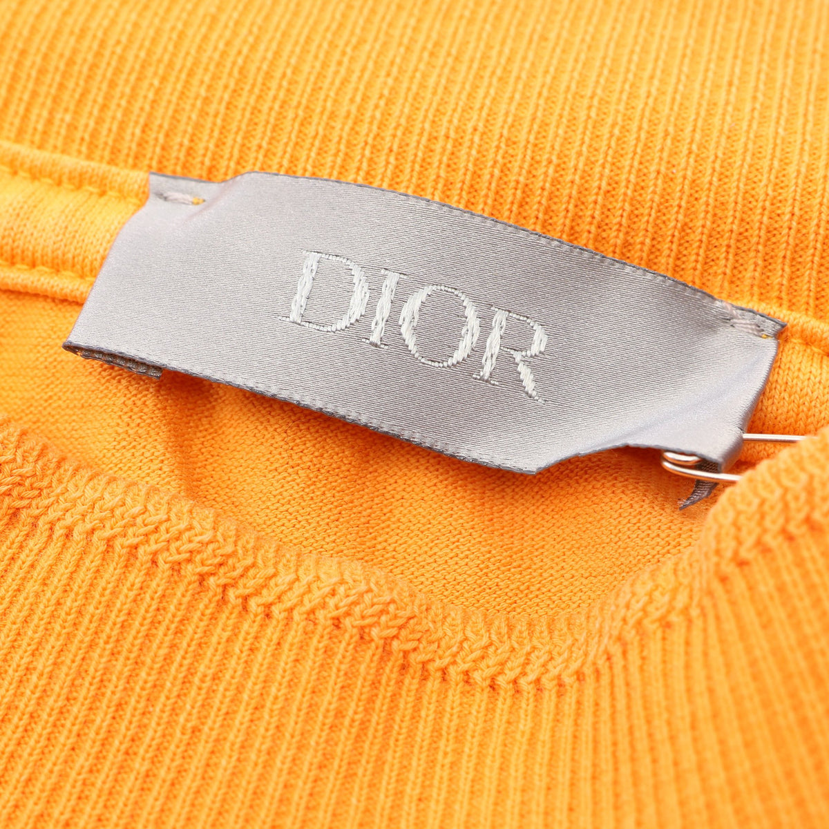 Christian Dior × PETER DOIG ライオン刺繍 ウォッシュド加工 半袖Tシャツ コットン オレンジ クリスチャンディオール