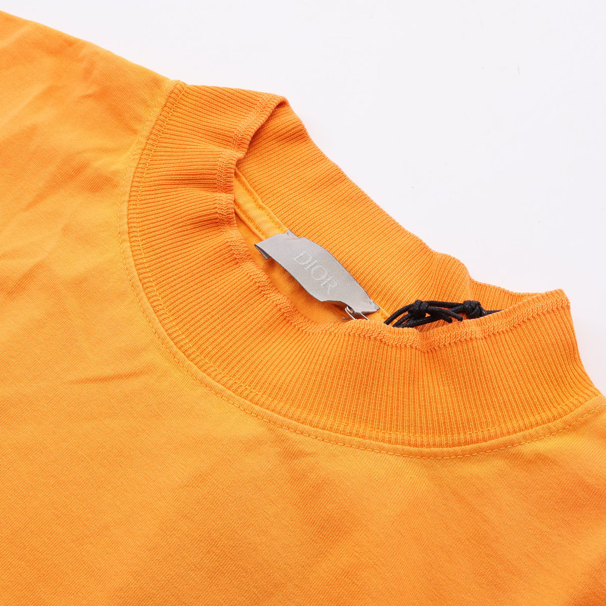 Christian Dior × PETER DOIG ライオン刺繍 ウォッシュド加工 半袖Tシャツ コットン オレンジ クリスチャンディオール