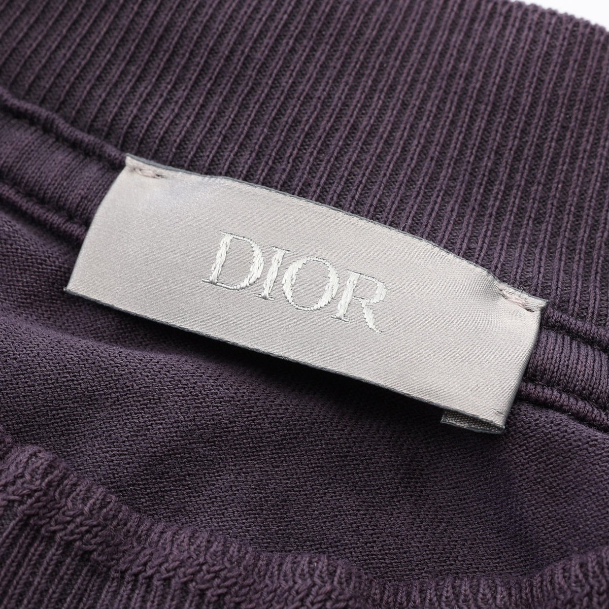 Christian Dior × PETER DOIG ライオン刺繍 ウォッシュド加工 半袖Tシャツ コットン ダークパープル クリスチャンディオール
