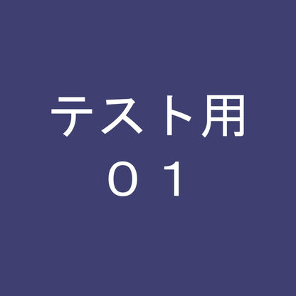 アジェンダPM 手帳カバー その他 カーフ（牛革） エピ エピ ブラック ノワール ノワール ルイヴィトン 財布・小物 LOUIS VUITTON