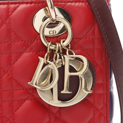 LADY DIOR レディディオール カナージュ ハンドバッグ レザー レッド パープル ボルドー 2WAY クリスチャンディオール バッグ Christian Dior