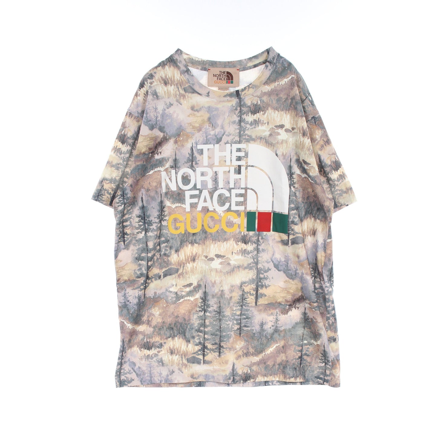 GUCCI × THE NORTH FACE ロゴ フォレスト Tシャツ クルーネック コットン ベージュ グレー マルチカラー グッチ トップス GUCCI