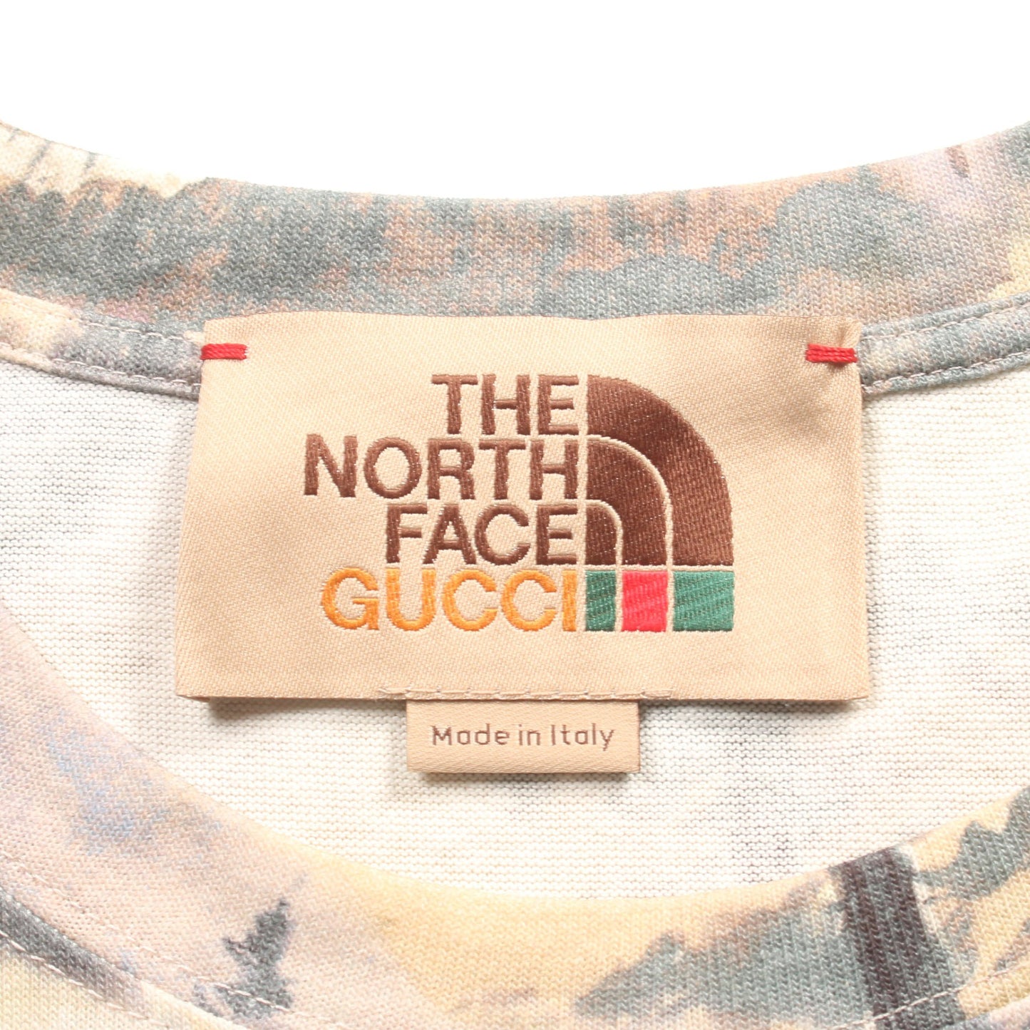 GUCCI × THE NORTH FACE ロゴ フォレスト Tシャツ クルーネック コットン ベージュ グレー マルチカラー グッチ トップス GUCCI