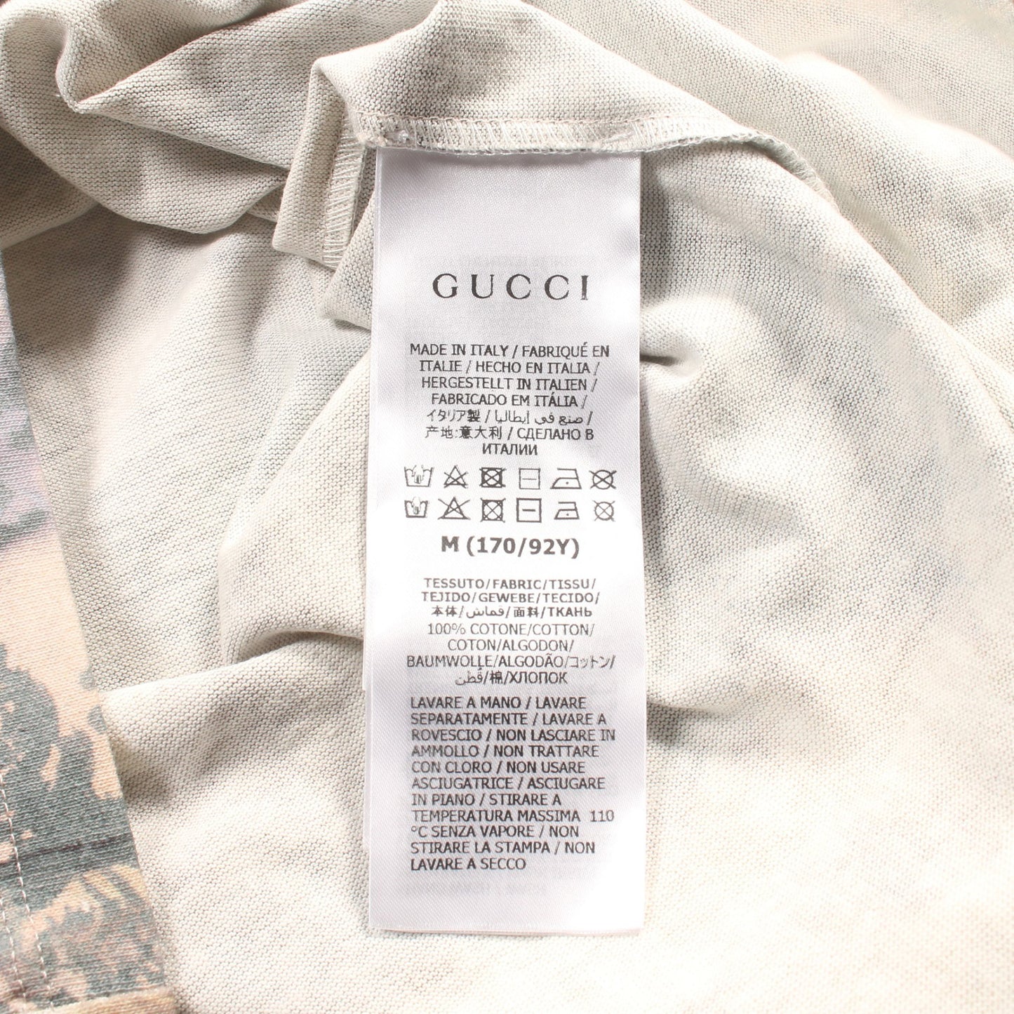 GUCCI × THE NORTH FACE ロゴ フォレスト Tシャツ クルーネック コットン ベージュ グレー マルチカラー グッチ トップス GUCCI