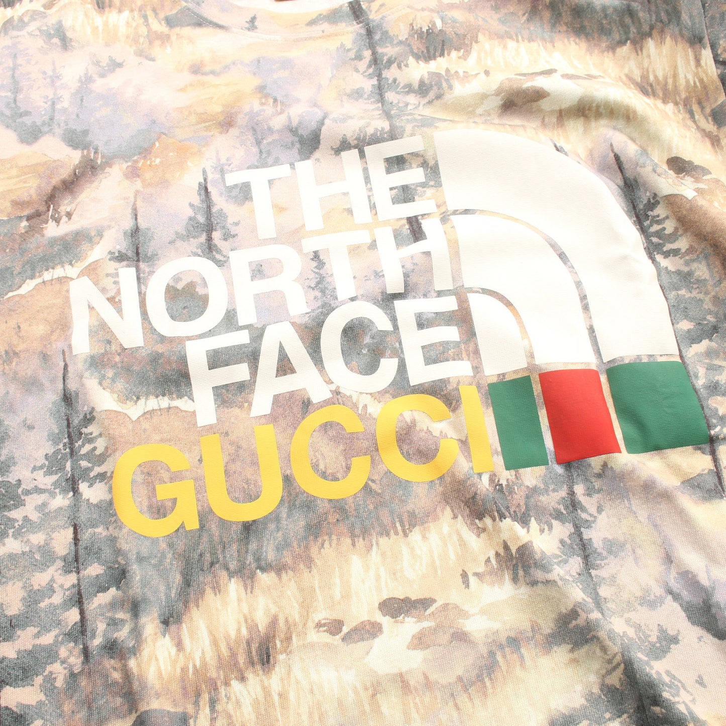 GUCCI × THE NORTH FACE ロゴ フォレスト Tシャツ クルーネック コットン ベージュ グレー マルチカラー グッチ トップス GUCCI