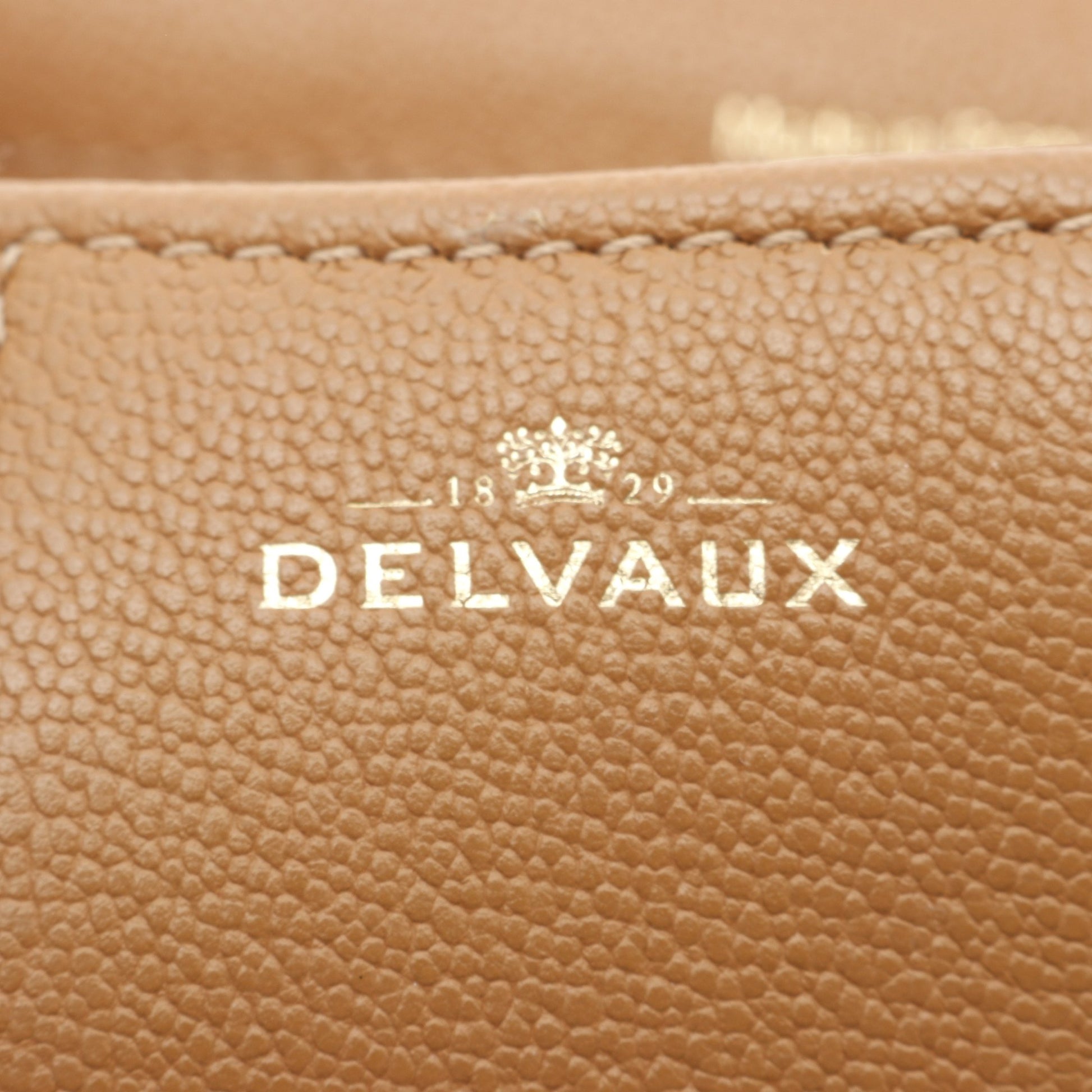 ブリヨン ミニ ハンドバッグ レザー ブラウン 2WAY デルヴォー バッグ DELVAUX