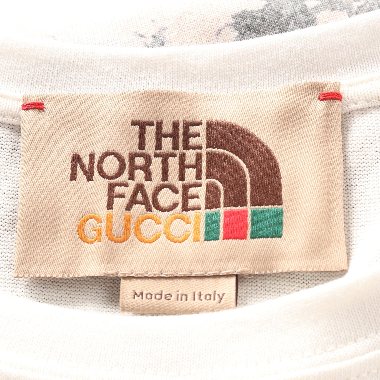 GUCCI × THE NORTH FACE ロゴ フォレスト Tシャツ クルーネック コットン ホワイト マルチカラー グッチ トップス GUCCI