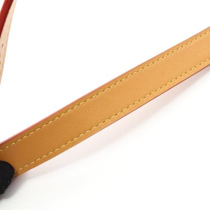 ソフトトランク ディス イズ ノットモノグラム ショルダーバッグ PVC レザー ブラウン ルイヴィトン バッグ LOUIS VUITTON